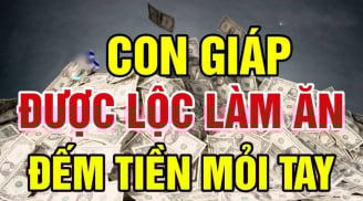 4 con giáp càng gần Tết Âm lịch càng Vượng, buôn 1 lãi 10