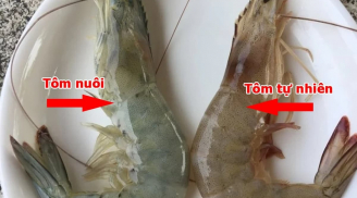 Mẹo chọn mua tôm, nhìn 1 chỗ này biết ngay tôm tự nhiên hay tôm bơm tạp chất