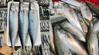 5 loại cá giá rẻ ít ngậm thủy ngân, giàu omega-3 chẳng kém cá hồi, bán đầy chợ nhưng ít người để ý