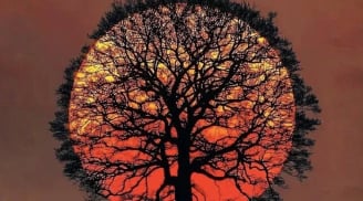 Trắc nghiệm tâm lý: Ánh nhìn đầu tiên tiết lộ hậu vận đời bạn có viên mãn hay không