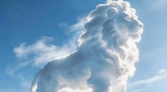 Trắc nghiệm tâm lý: Năm 2026 bạn có “cá chép hóa rồng”, đổi vận ngoạn mục không?