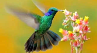 3 ngày sinh Âm lịch 'vàng 10', ai sở hữu chúng dễ dàng vượt qua khó khăn và thành công lớn