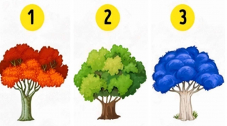 Trắc nghiệm tâm lý: Bạn thực sự mạnh mẽ hay chỉ đang “gồng mình” chịu đựng?