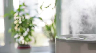 6 thứ thường có trong nhà của người có nhiều may mắn