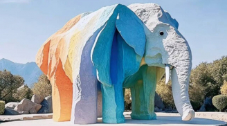 Trắc nghiệm tâm lý: Năm 2026, điều gì ở bạn khiến người khác ngưỡng mộ nhất?