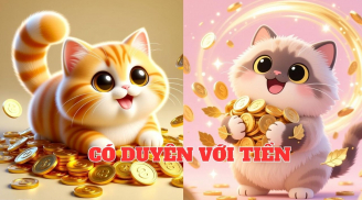 Nửa cuối tháng 1/2026, 3 tuổi Có Duyên Với Tiền, làm 1 hưởng 10, hưởng trọn giàu sang