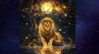 Thứ Hai, Ba, Tư (19–21/1): 3 cung hoàng đạo bước đi có vàng, làm gì cũng thuận lợi