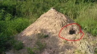 Giải mã câu tục ngữ nông thôn: Một thứ trước mộ, ba thứ sau mộ nói lên điều gì?