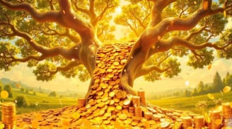 Nạn nào cũng qua: 3 tuổi tiền Bạc công danh có Thừa