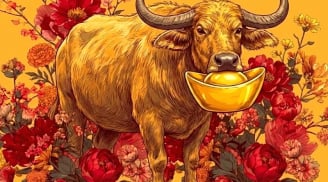 Người Khôn Của Khó, 4 con giáp Sống Thật lại được trời thương