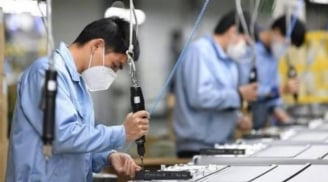 Quy định mới nhất về thưởng Tết Nguyên đán 2026: Có nơi nhận hơn 200 triệu đồng/người