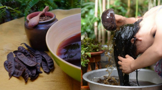 Cách gội đầu bằng bồ kết thay cho dầu gội công nghiệp giúp tóc mọc nhanh, đen mượt, không bị bết