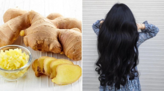 Cách gội đầu bằng gừng tươi trị rụng tóc hiệu quả, tóc con mọc lên tua tủa
