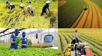 Từ năm 2026 đến 2030: Những trường hợp được miễn thuế sử dụng đất nông nghiệp người dân cần biết