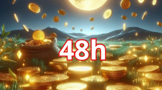  48 giờ tới: 3 tuổi càng kiên nhẫn càng mở khoá tài lộc, thử thách lớn lại hóa cơ hội