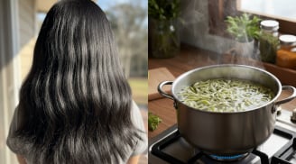 Gội đầu bằng vỏ bưởi đúng cách: Bí quyết giảm rụng tóc, kích thích tóc mọc nhanh tại nhà