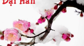Hôm nay ngày hôm 20/1, tiết Đại Hàn, ai làm 1 trong 3 việc này sẽ may mắn và 'giàu to'