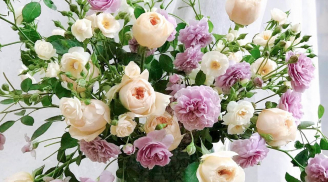 Trắc nghiệm tâm lý: Chọn 1 bình hoa theo trực giác để khám phá vận may, tài lộc và tình duyên sắp tới