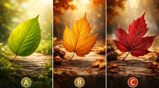 Quiz: Chọn 1 chiếc lá để biết bạn sẽ thành công giàu có ở độ tuổi nào