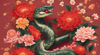 Sau ngày 22/1 dương lịch, 2 tuổi dễ dễ dính thị phi vì lời nói, 1 tuổi tỉnh táo kẻo bị lợi dụng