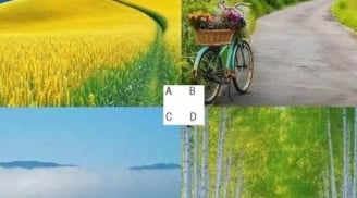 Trắc nghiệm tâm lý: Chọn một con đường bạn muốn đi để khám phá vận mệnh của bạn trong nửa sau cuộc đời