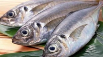 Cá biển và cá nước ngọt: Loại nào tanh hơn, loại nào tốt cho sức khỏe hơn?