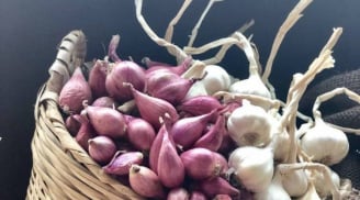 Cách bảo quản hành, tỏi cả năm không bị mốc, không bị teo thối hay mọc mầm