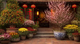  Vì sao tổ tiên thường trồng cây cảnh phía trước chứ không sau nhà?