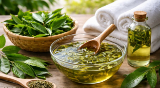 Cách gội đầu bằng lá trà xanh giúp sạch gàu, mượt tóc, trị rụng tóc, tóc mới mọc lên tua tủa
