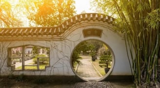 4 cây Âm mọc trước cửa nhà Tổ tiên gánh không nổi, chặt ngay còn kịp