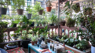 4 dấu hiệu vận may sắp đến nhà bạn, chỉ cần gặp 1/4 cũng xin chúc mừng