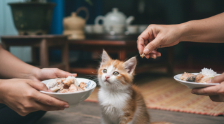Ít người để ý: Những hành động âm thầm “mở cửa” Thần Tài, tiền bạc tự tìm đến