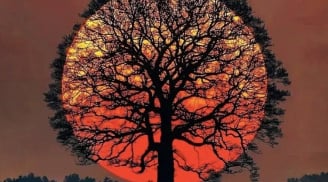 Trắc nghiệm tâm lý: Nhìn thấu hậu vận – Cuộc đời bạn có viên mãn, sung túc như mong ước?