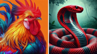 Từ 25/1 đến 15/2: 3 tuổi Trả Sạch Nợ Đời, xuất hành có lộc, danh tiếng vang xa