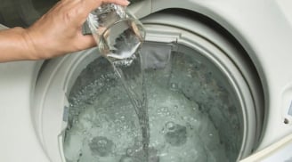 Vì sao nên đổ giấm trắng vào máy giặt?