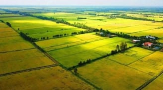 Các trường hợp được miễn thuế sử dụng đất nông nghiệp từ ngày 1/1/2026