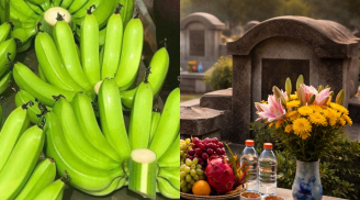 Dân gian truyền lại: Tạ mộ cuối năm không mang theo Chuối, vì sao?