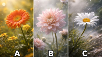 Quiz: Chọn 1 bông hoa tiết lộ tháng 2 dương lịch, vận may hay thử thách chào đón bạn