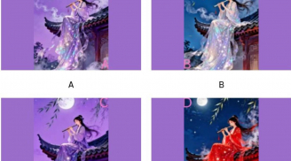 Trắc nghiệm tâm lý 2026: Bước ngoặt lớn nào sẽ giúp bạn bứt phá ngoạn mục trong năm mới?