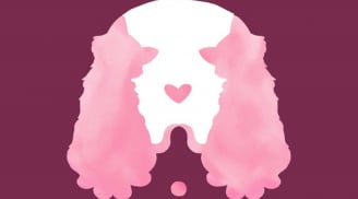 Trắc nghiệm vui: Hình ảnh đầu tiên tiết lộ điều gì về quan điểm tình yêu của bạn