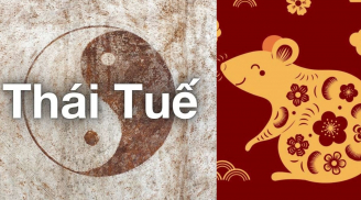 Năm 2026 Bính Ngọ: 4 con giáp phạm Thái Tuế vướng thị phi, hao tài, 1 tuổi dù không phạm vẫn lao đao