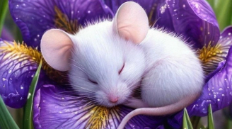 Nếu còn làm việc này, 3 con giáp dễ tự cắt mất vận may đang tới