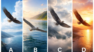 Quiz: Chọn 1 cánh chim để biết con đường bạn đang đi sẽ dẫn tới đâu trong thời gian tới