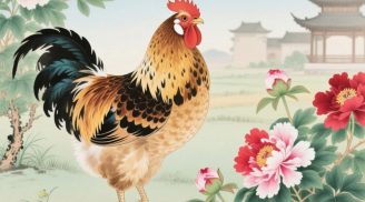 Thần Thổ Địa hiển linh, 4 tuổi ngồi không cũng có lộc, càng cuối năm càng giàu có