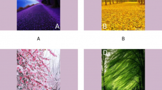 Trắc nghiệm tâm lý: Chọn phong cảnh bạn thích để biết sau tuổi 50 bạn giàu sang hay vẫn chật vật