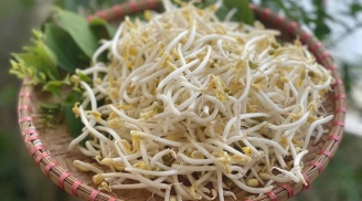 7 lợi ích bất ngờ của việc ăn giá đỗ thường xuyên