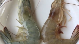 Người bán tôm tiết lộ: Cách phân biệt tôm nuôi và tôm tự nhiên cực dễ, ai cũng làm được