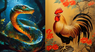 Từ giờ tới giữa năm 2026: 3 tuổi càng bình tĩnh càng có lộc, tiền bạc và cơ hội tự tìm đến