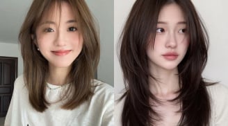 Công thức trà thảo mộc 5 thành phần hỗ trợ nuôi dưỡng mái tóc chắc khỏe từ bên trong