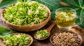  Hoa đu đủ đực nhiều công dụng, nhưng những người này nên tránh dùng